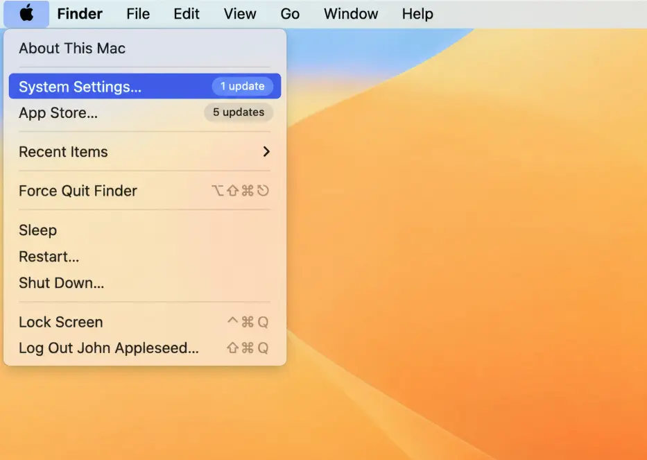 showing option macbook System Settings